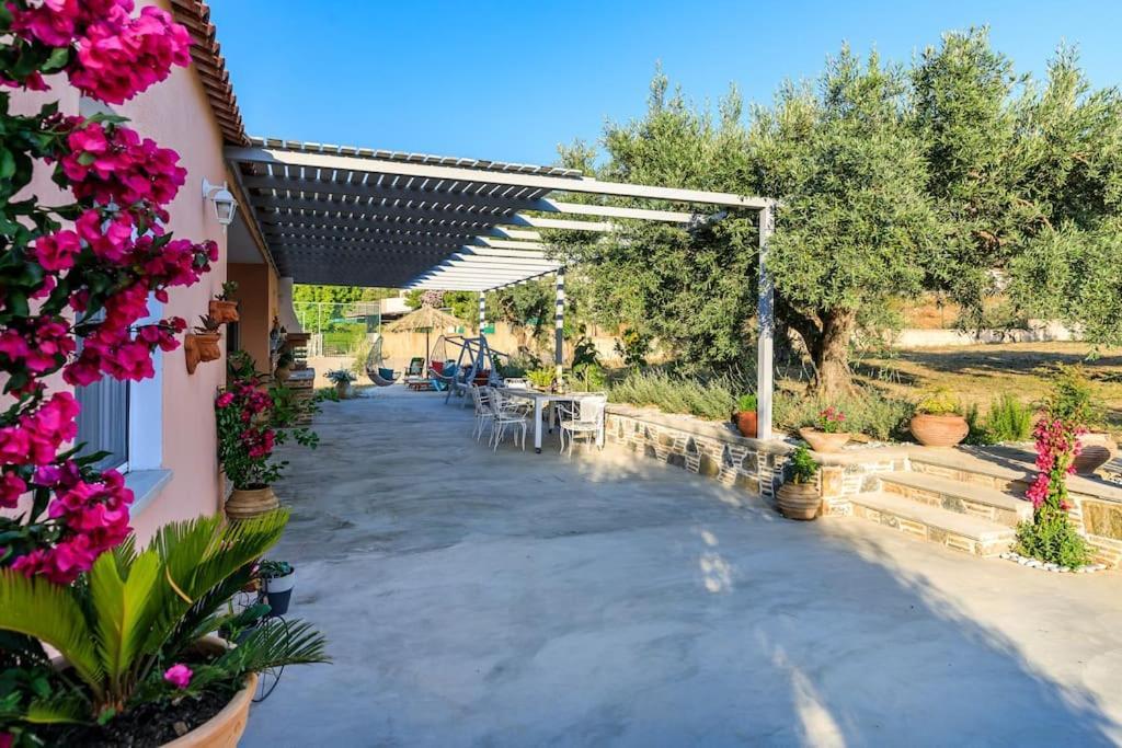Skopelos Blue Heaven Pool Villa In Olive Grove Esterno foto